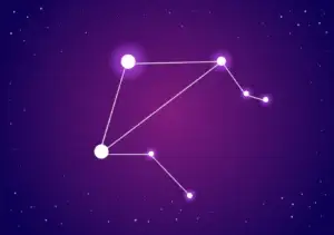 Libra in Full Bloom! Fortune Favors the Bold, Investments Prosper